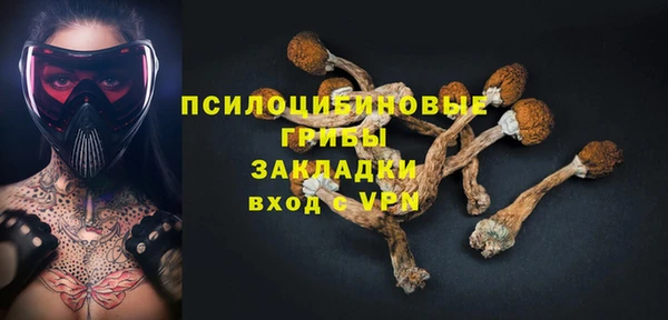 молекула духа Алексин