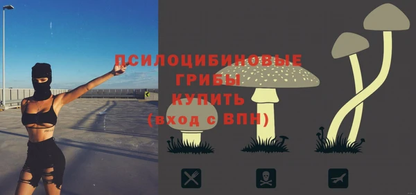 твердый Алексеевка