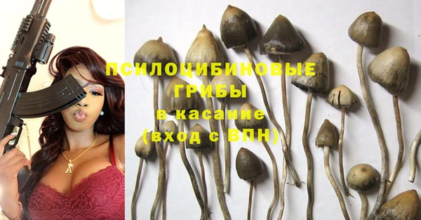 молекула духа Алексин