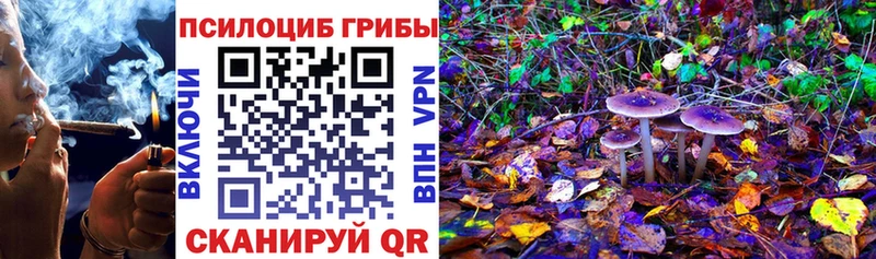 наркотики  Красково  Псилоцибиновые грибы прущие грибы 